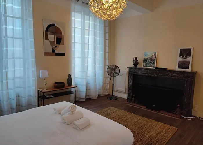L'hotel Particulier, 120m2, Hypercentre, Wifi / Conciergeriedamecarcas *